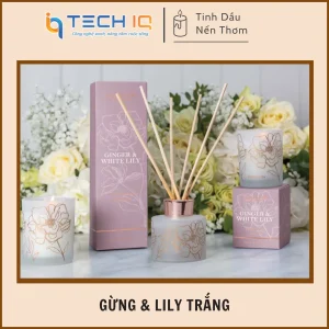 Gừng & Lily Trắng