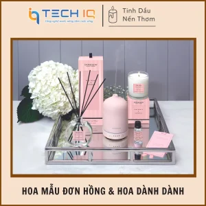 Hoa Mẫu Đơn Hồng & hoa dành dành