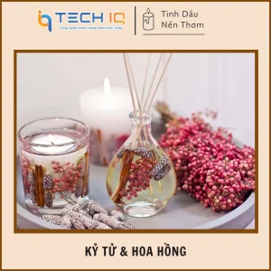 Kỷ Tử & Hoa Hồng