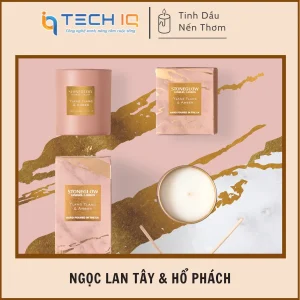 Ngọc lan tây & hổ phách