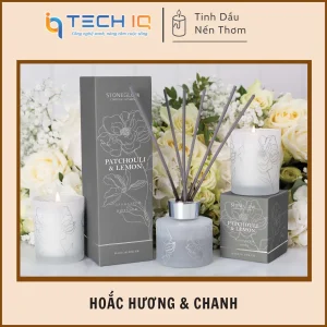 Combo mùi hương - Hoắc hương & chanh - Day Flower
