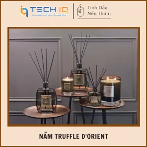 Combo mùi hương - Nấm Truffle D'Orient - Metallique