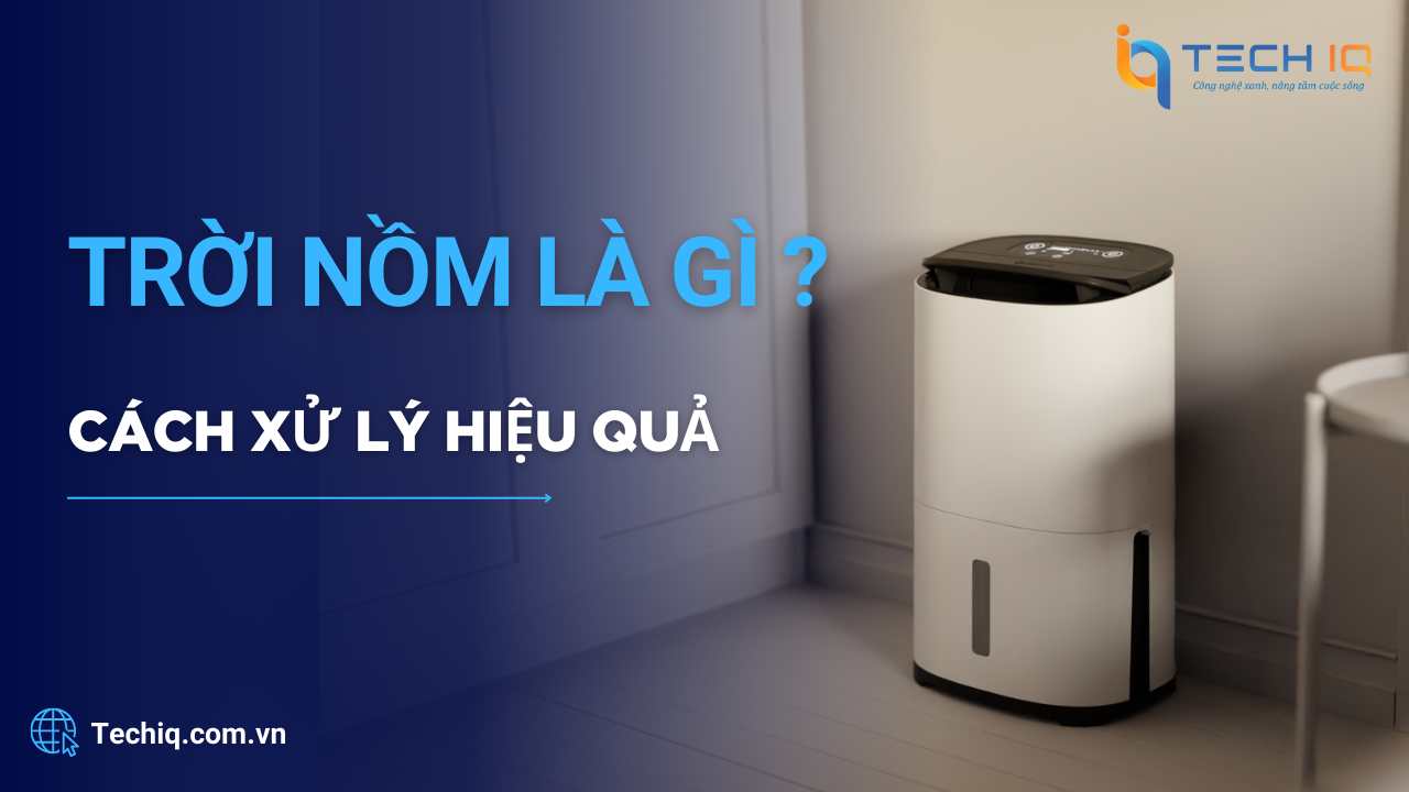 Mùa Nồm Là Gì? – Hiểu Rõ Và Cách Giải Quyết