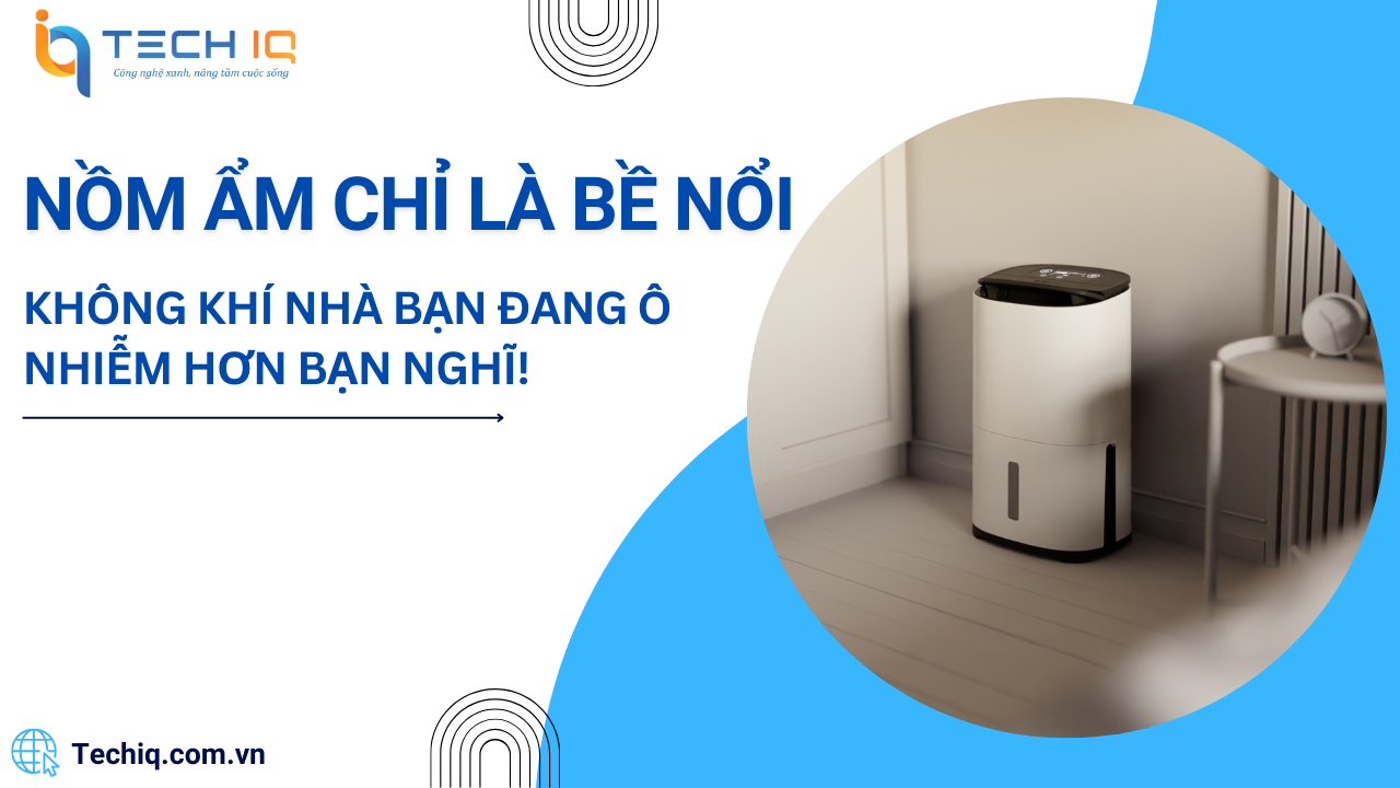 Nồm Ẩm Chỉ Là Khởi Đầu – Bạn Đang Hít Phải Gì Trong Chính Ngôi Nhà Của Mình?